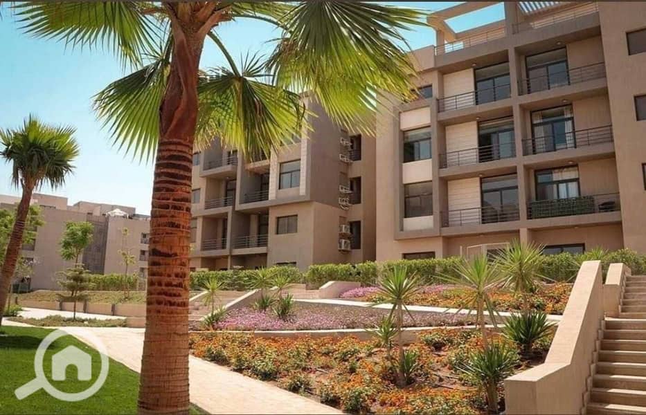 10 2366ae73-b93a-471e-919e-2289a39402cd. jpg