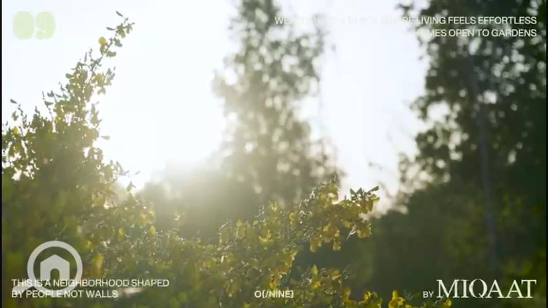 11 IMG-20251121-WA0044. jpg