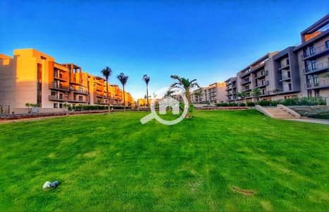 1 Bedroom Apartment for Rent in New Cairo, Cairo - 95976909-f54c-436a-ab7c-552d5f1e3ad1. jpg