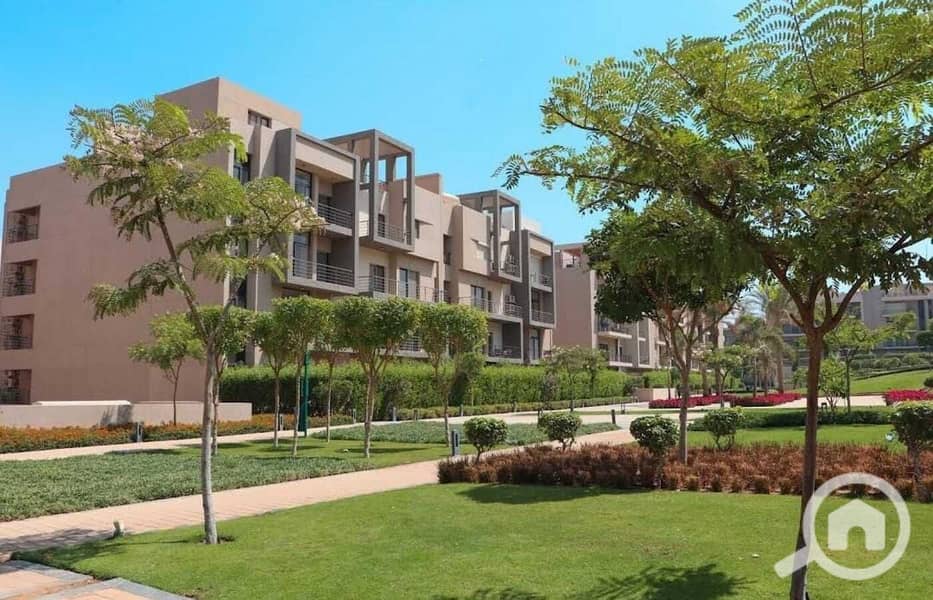 5 80e2a6da-d251-4ff4-acdf-0472c52c721b. jpg