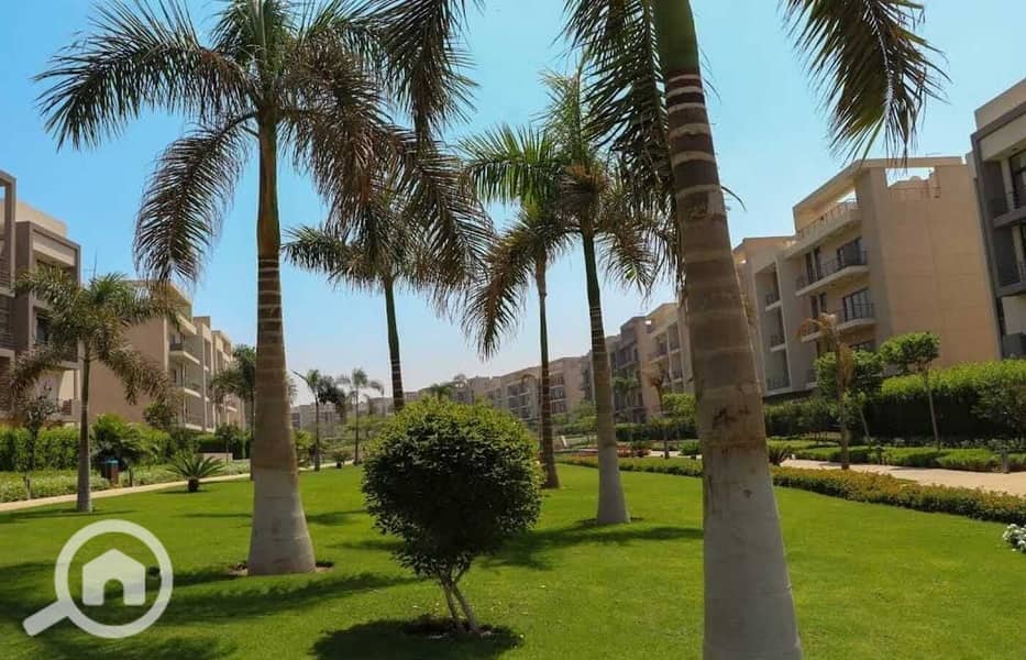 9 a3d65b76-4cff-4b58-ab20-0f8c5e8d2da8. jpg