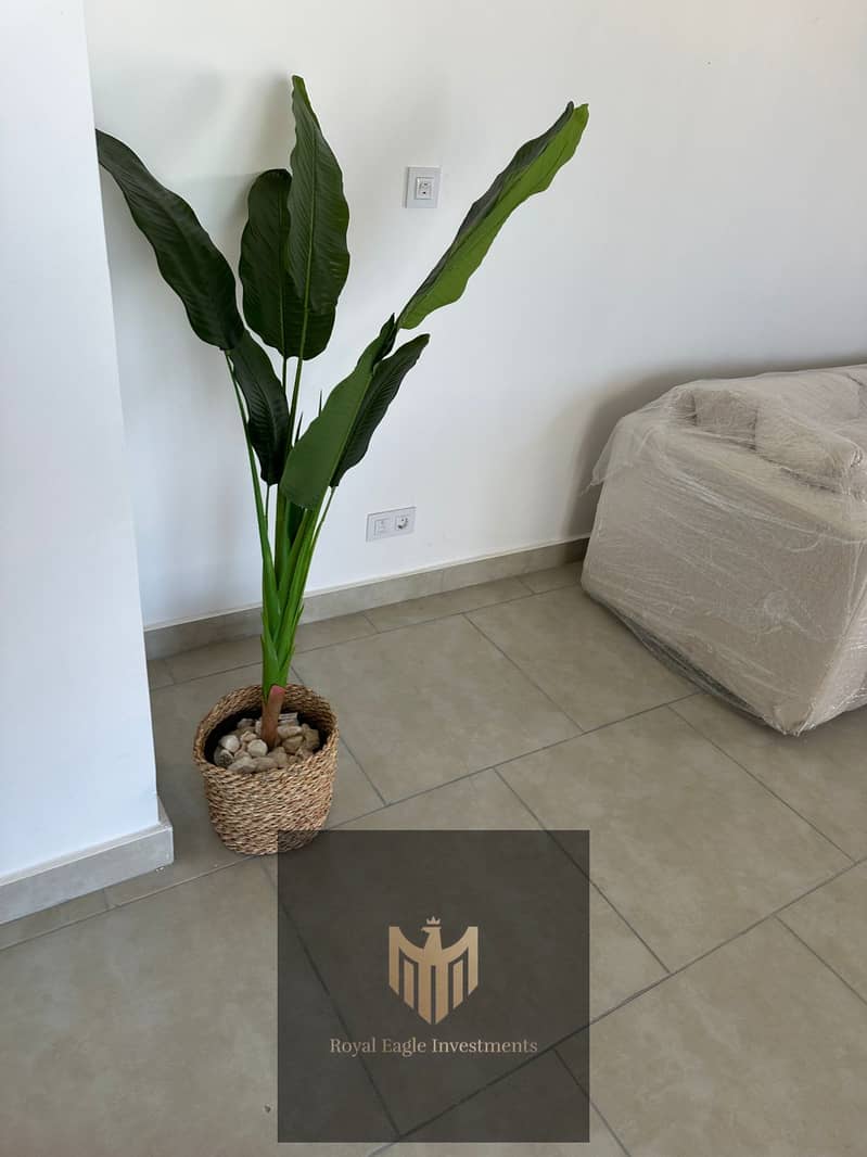 4 WhatsApp Image 2025-10-20 at 9.16. 37 PM (4). jpeg