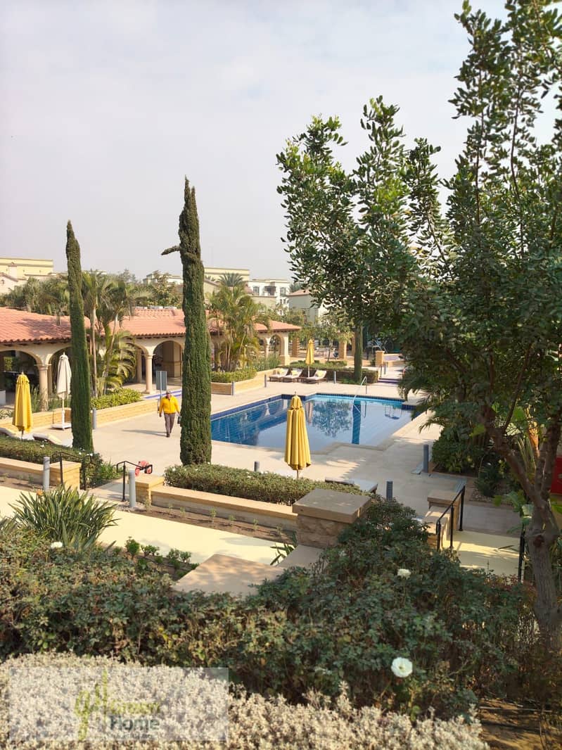 8 0f886011-2aa5-4697-956e-38de3bab97df. jpg