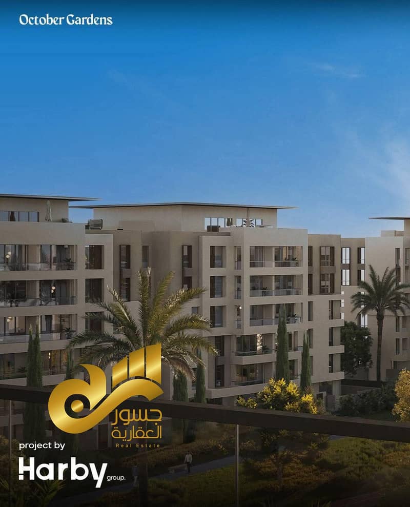 3 b20f1c47-19d7-4a9d-9d03-210d8c9348d5. jpg