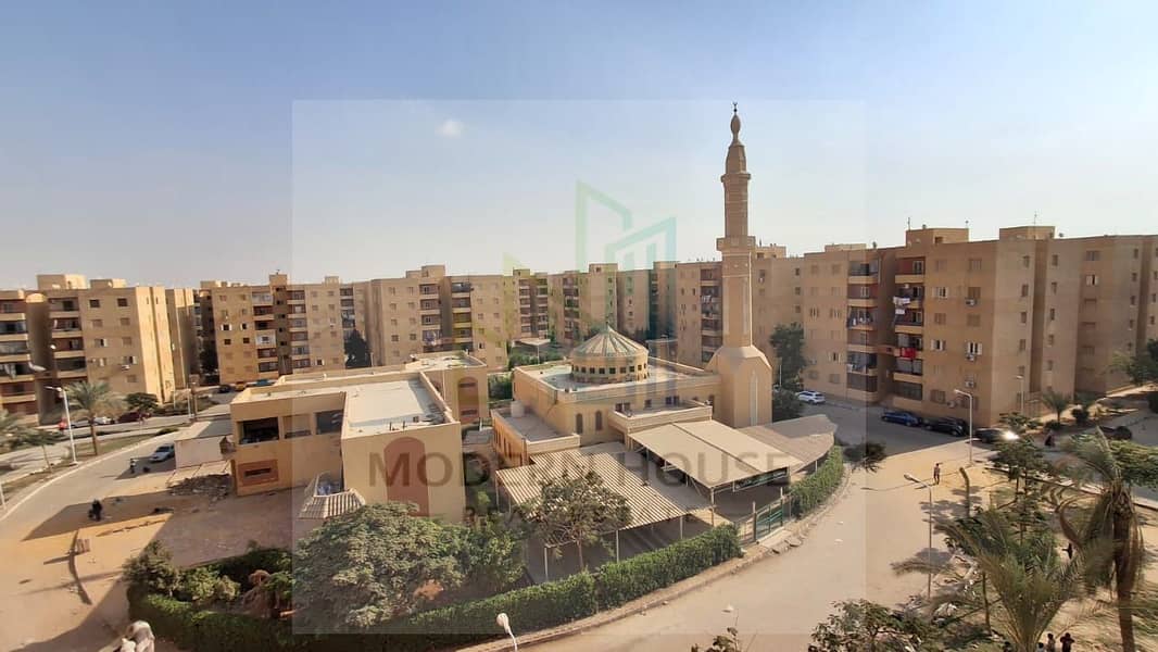 10 نعامهع. jpeg