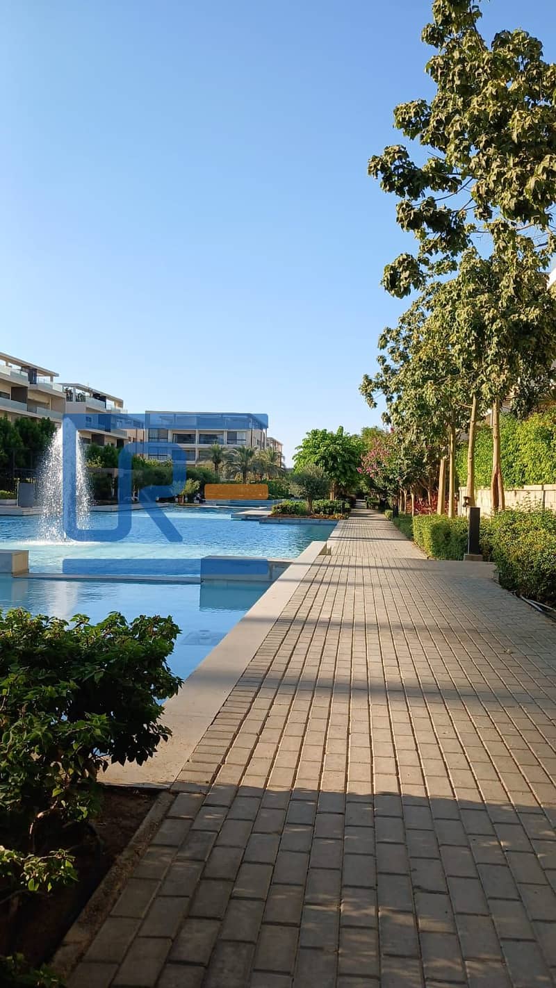 6 3a74b903-bc50-45fe-b17e-fbf7726eaf6e. jpg