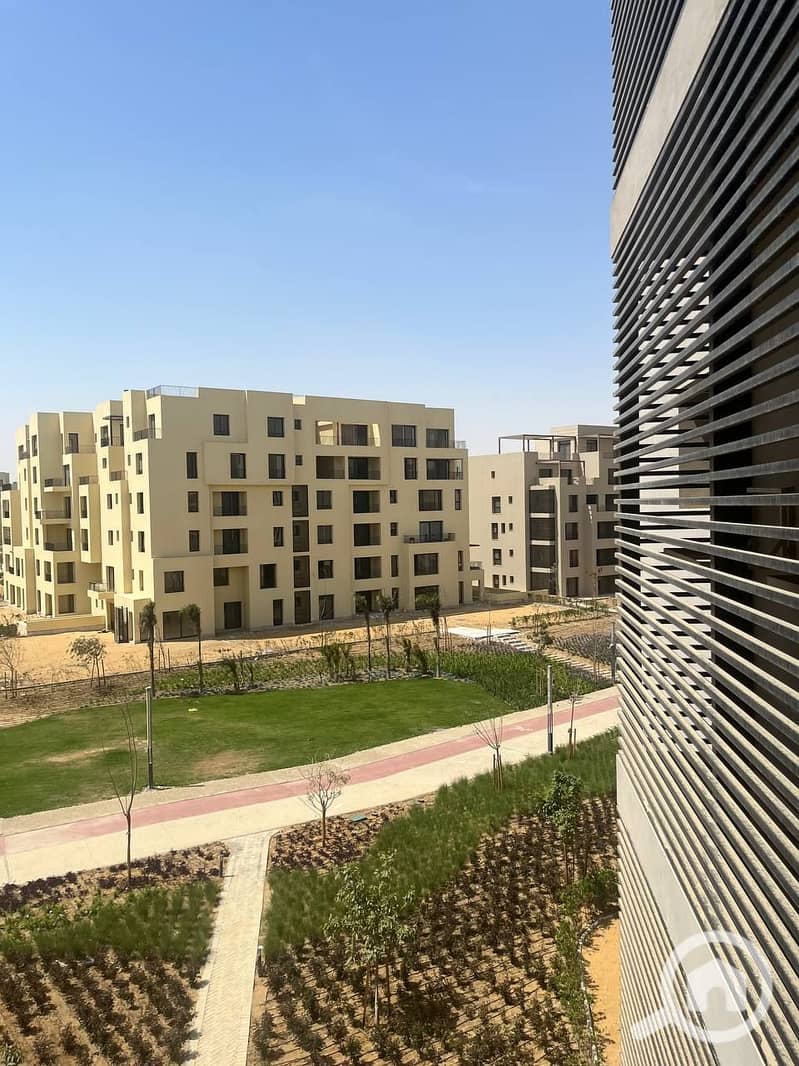 9 photo_2024-04-02_03-04-13. jpg