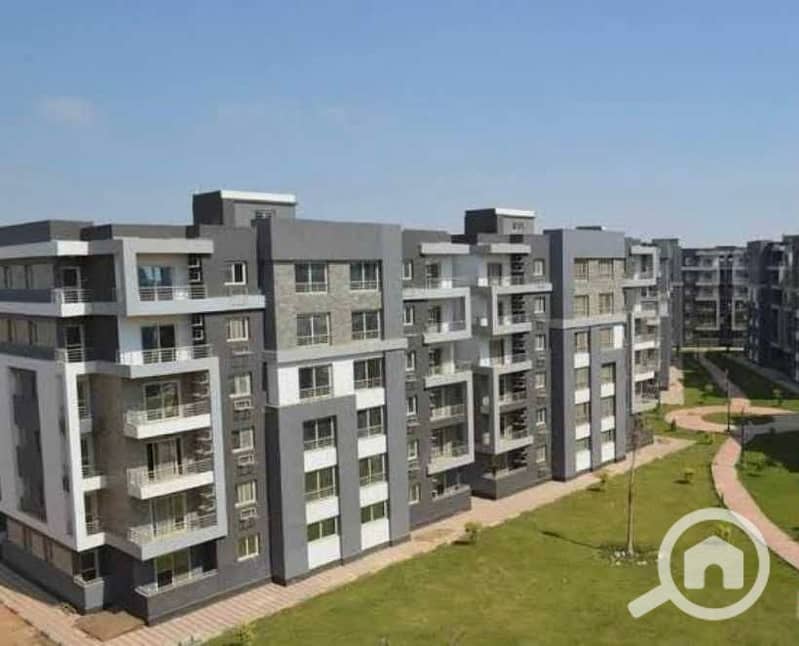 9 e88a5d53-913c-42c3-aa69-7faad701c1d5. jpg