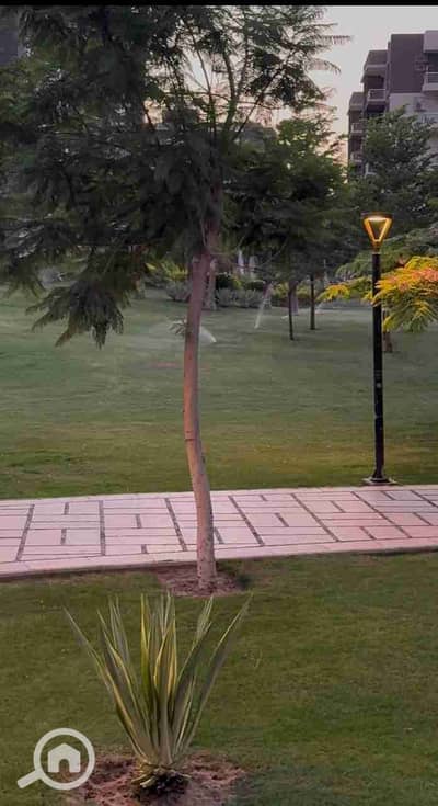 1 Bedroom Flat for Rent in Madinaty, Cairo - 1000128794. jpg