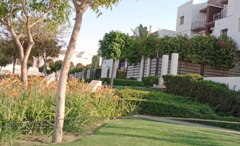 5 WhatsApp Image 2026-01-26 at 4.35. 35 PM. jpeg