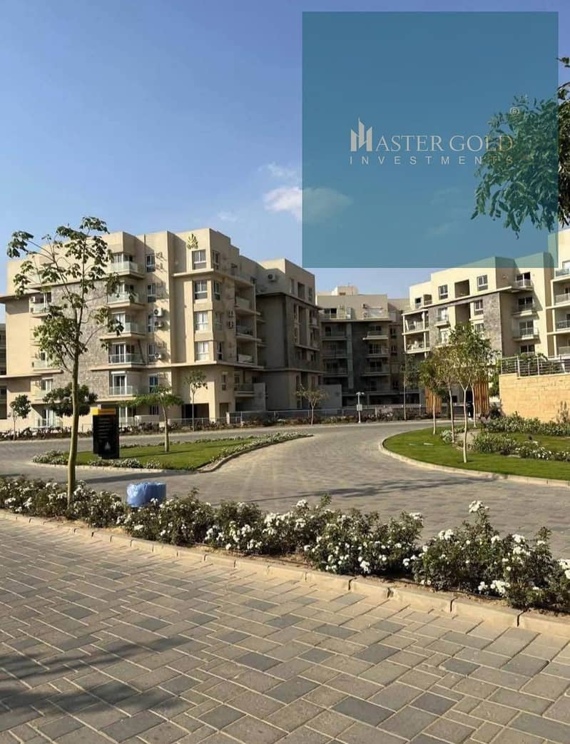 13 615906816_122195041400578318_7332022858614106622_n. jpg