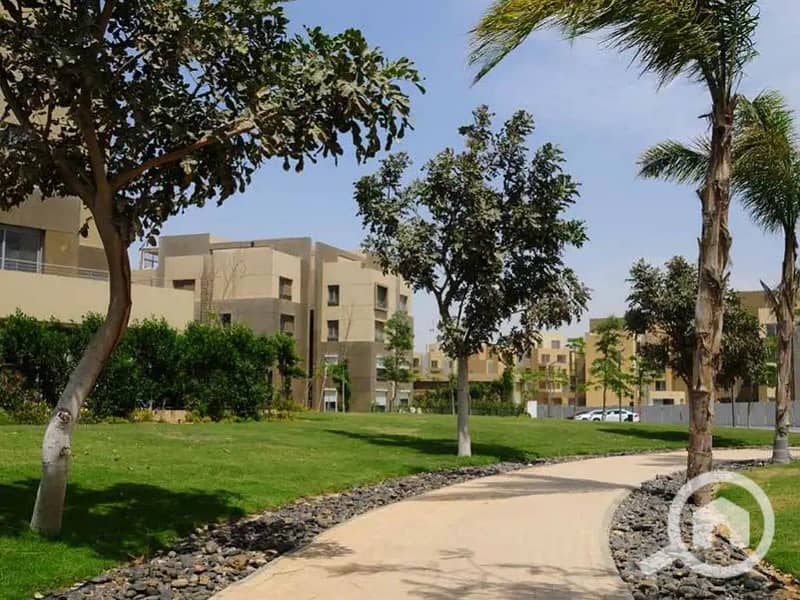 9 palm-park-1667480804. jpg