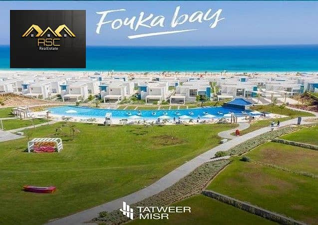 2 4386466-7f265o. jpg