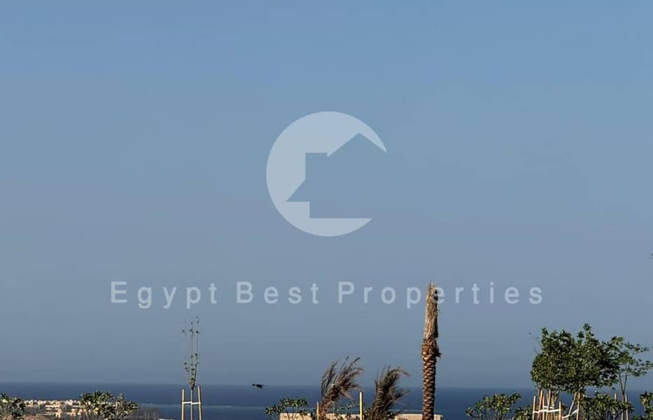 12 WhatsApp Image 2025-12-05 at 13.17. 06_e4e29f54 (Custom). jpg