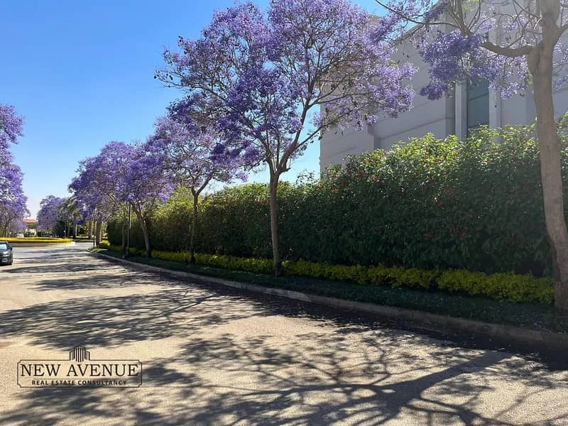 2 WhatsApp Image 2026-01-26 at 4.46. 39 PM. jpeg