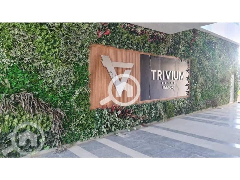 6 17093444-800x600. jpg