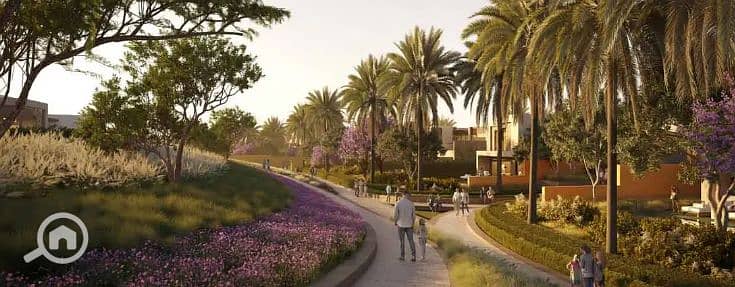 12 سولاناا. png