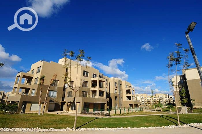 11 AW2yRkJX56h71ddslekV3DqIF5octI. jpg