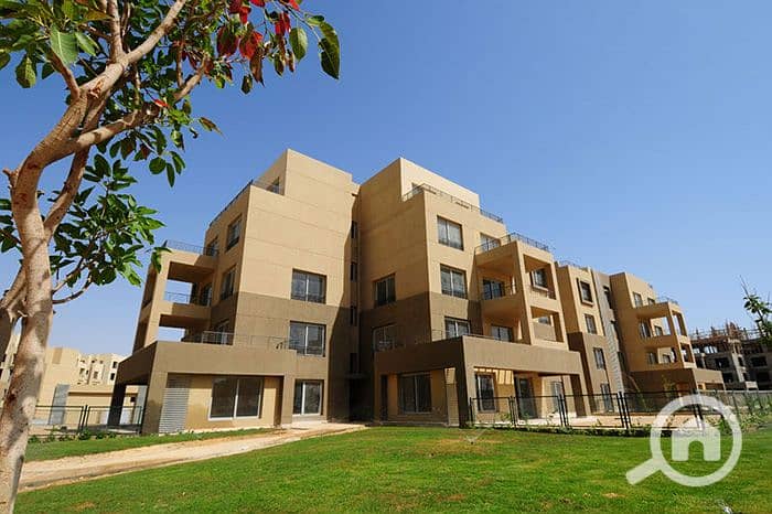 13 palm-parks-october-بالم-باركس-اكتوبر-58. jpg