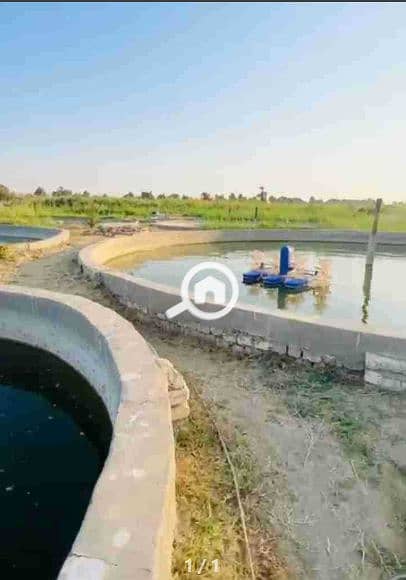 2 Screenshot 2026-01-28 162223. png