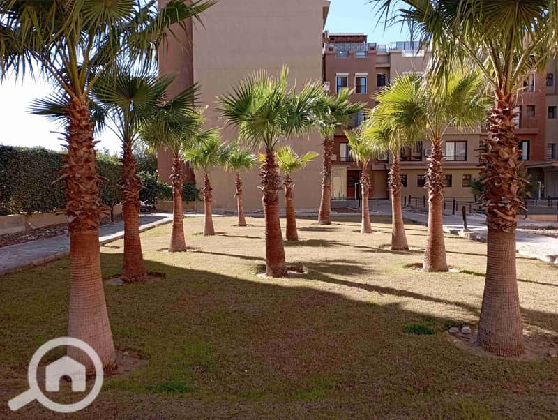 8 IMG_20220208_142734. jpg