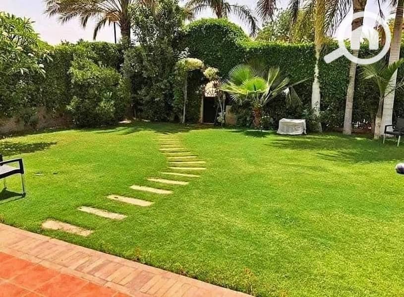 10 5594219b-ecb7-42c5-b7dc-9d0eb0020f60. jpeg