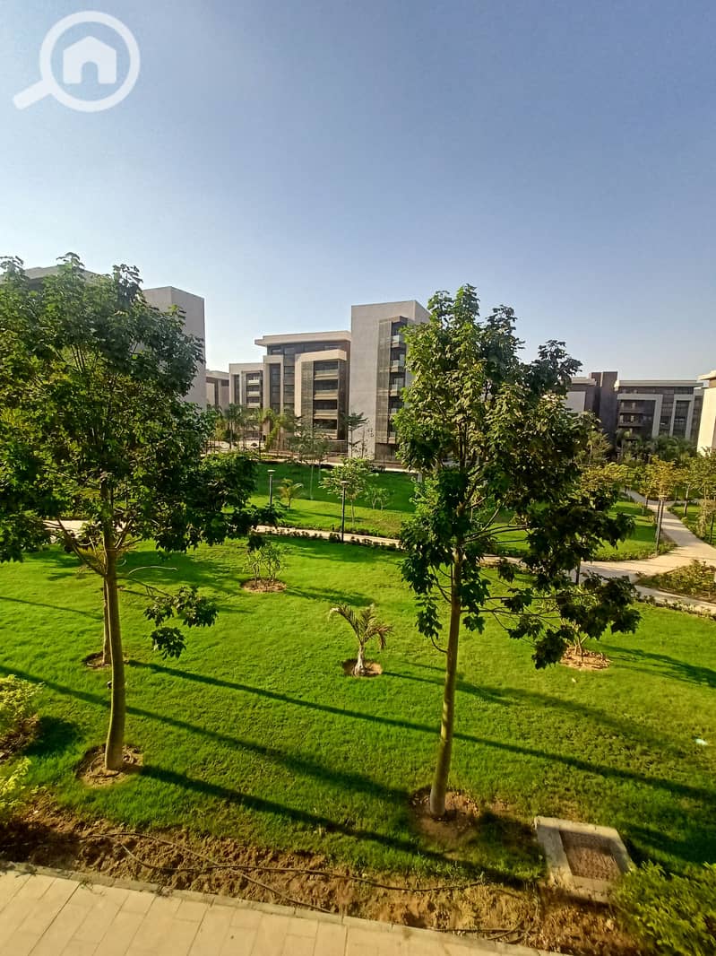 2 IMG20250915171401. jpg