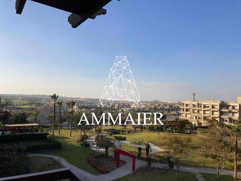 6 dd03db94-376e-452c-978a-7c77fa2693f2. jpg