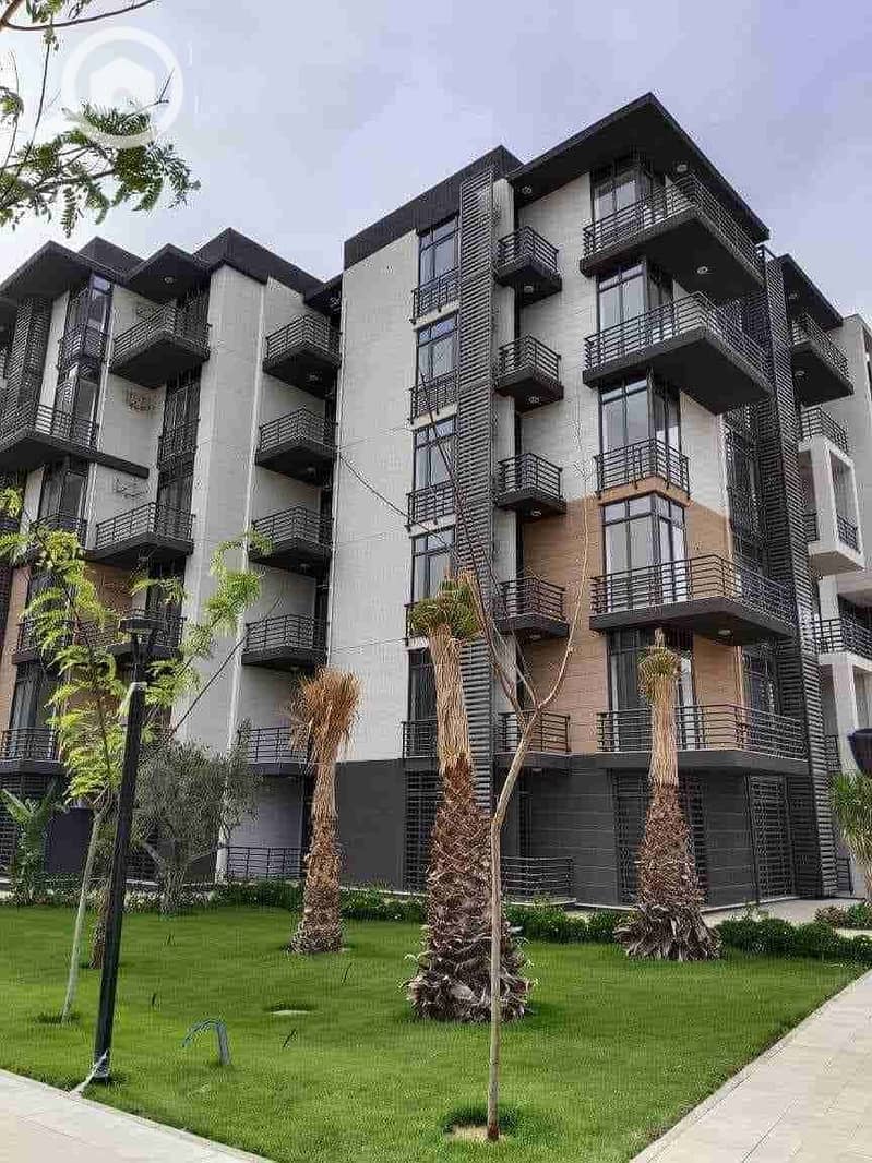 FB_IMG_1725215808693. jpg FB_IMG_1725215808693. jpg