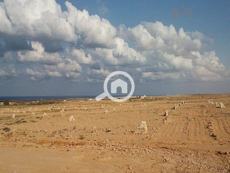 8 WhatsApp Image 2026-01-28 at 3.53. 38 PM (2). jpeg