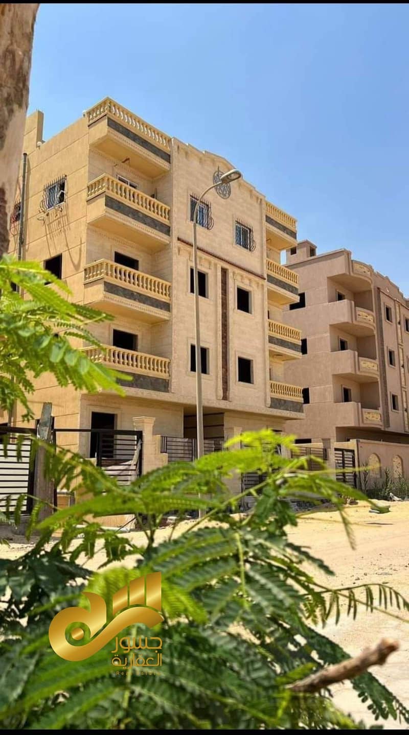 12 460129922_2013578252799461_58600011736250530_n. jpg