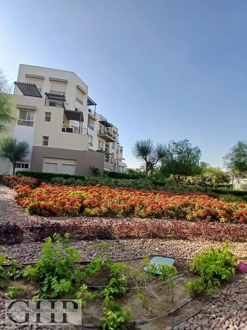 6 1ffebb40-c05c-4ca9-88aa-9ec1d18b3c38. jpg