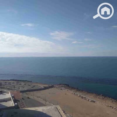 3 Bedroom Flat for Rent in Miami, Alexandria - 1000202225. jpg