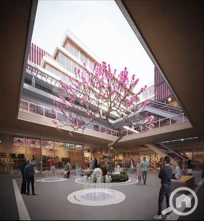 مکتب  للبيع في الشيخ زايد، الجيزة - photo_1_2026-01-28_16-29-33. jpg