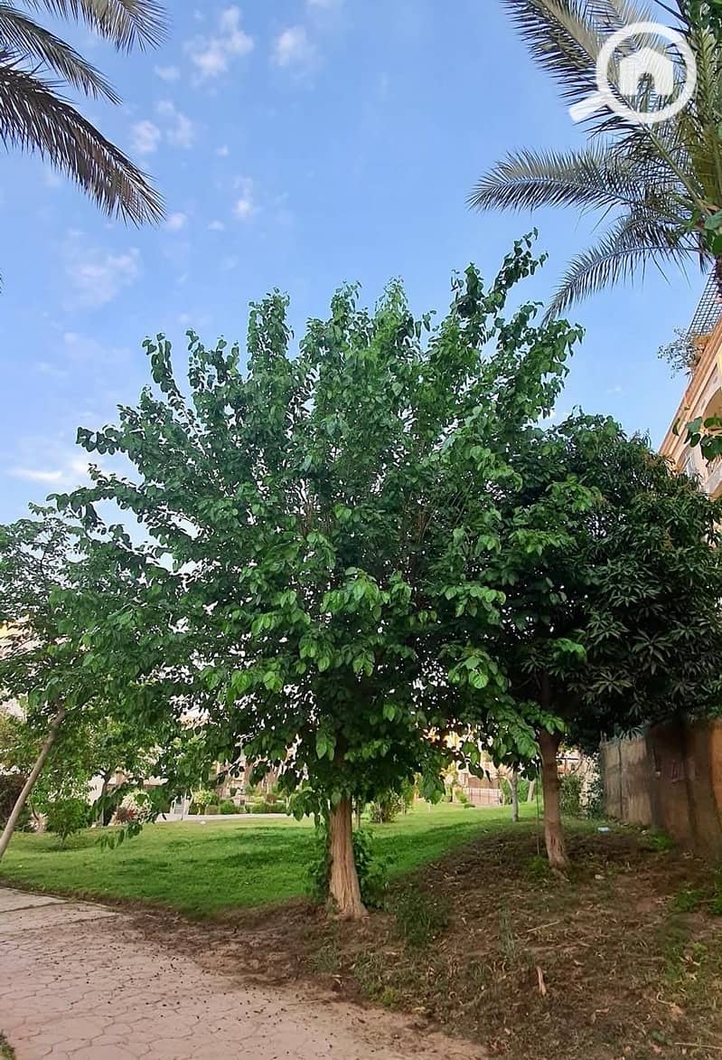 3 WhatsApp Image 2026-01-28 at 4.42. 52 PM (3). jpeg