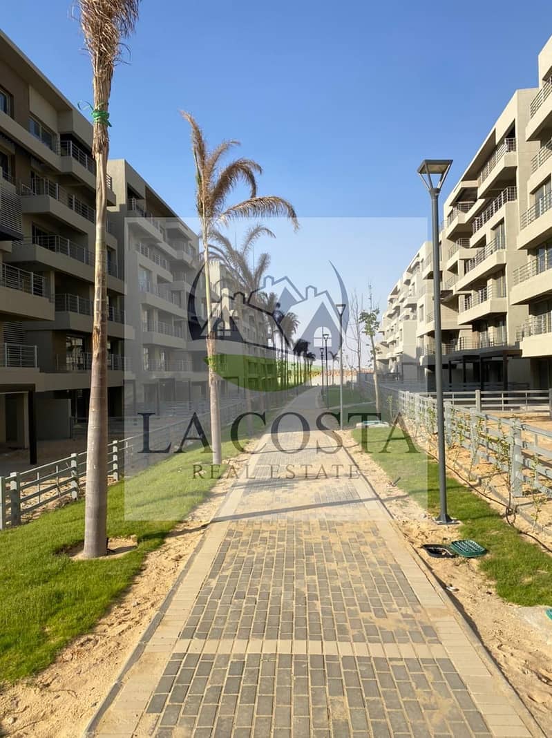 3 WhatsApp Image 2024-10-09 at 4.53. 18 AM (3). jpeg