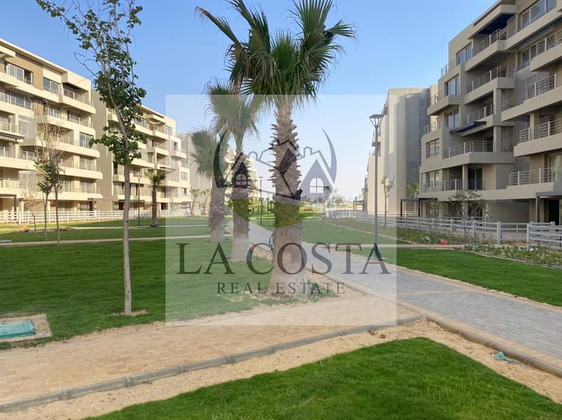 8 WhatsApp Image 2024-10-09 at 4.53. 19 AM. jpeg