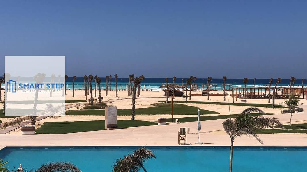 7 a3398b26-8ad8-43b3-b343-23c91ce04b9c. jpg