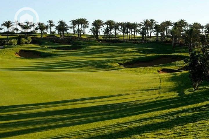 6 WhatsApp Image 2026-01-28 at 12.06. 24 PM (1). jpeg