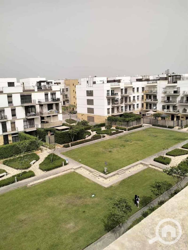 2 4880cc66-3904-40f1-85ea-98064ea41e31. jpg