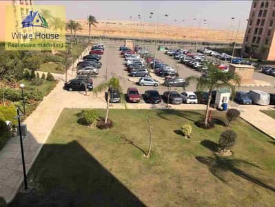 فلیٹ 3 غرف نوم للايجار في القاهرة الجديدة، القاهرة - 1000239269. jpg