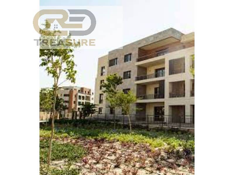 11 images (1). jfif. jpg