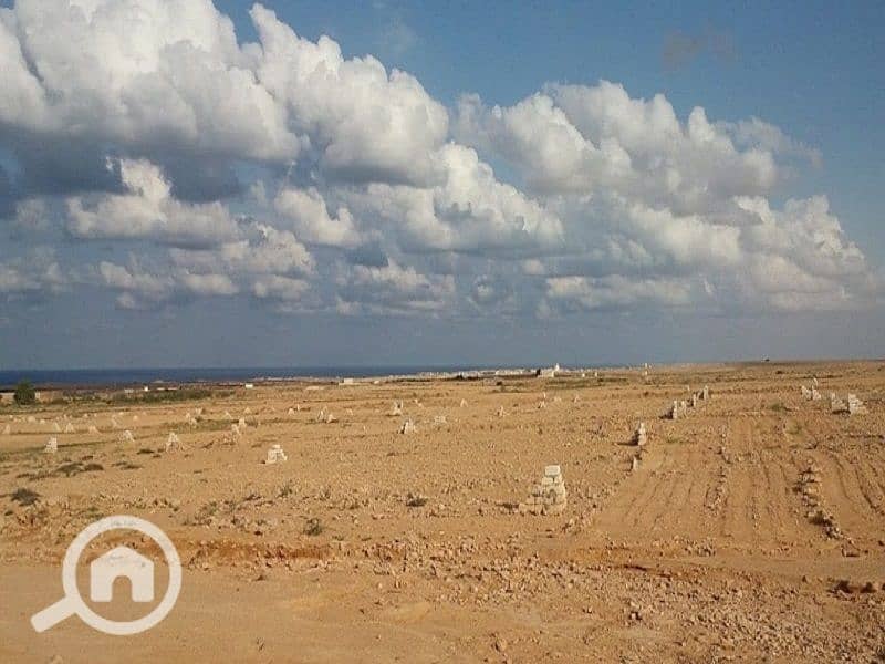 2 WhatsApp Image 2026-01-28 at 3.53. 38 PM (2). jpeg