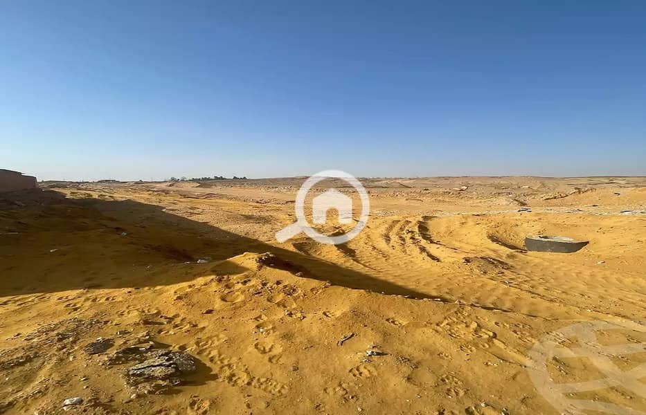 3 WhatsApp Image 2026-01-28 at 3.53. 37 PM (1). jpeg