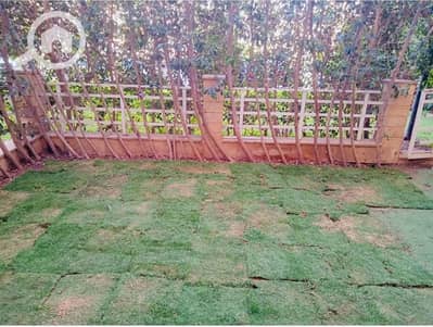 فلیٹ 1 غرفة نوم للبيع في مدينتي، القاهرة - WhatsApp Image 2026-01-26 at 8.02. 26 PM (1). jpeg