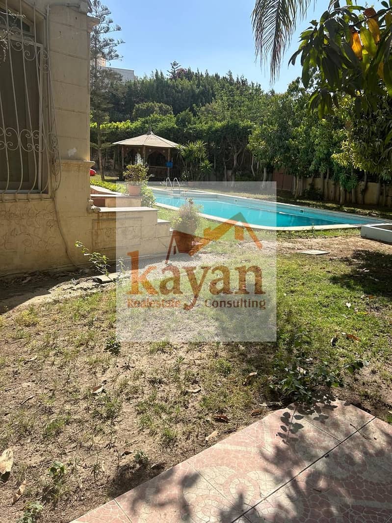 8 4863c5b2-906c-46a4-a627-cfc1a5c7c11c. jpg