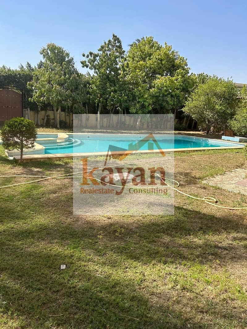 13 b5d50d4e-4d60-4bc5-8b7f-49a390e5dacf. jpg