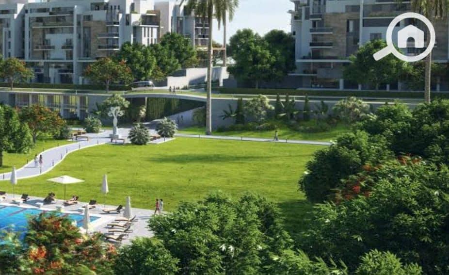 2 WhatsApp Image 2025-04-08 at 16.56. 42_a40e3e74. jpg