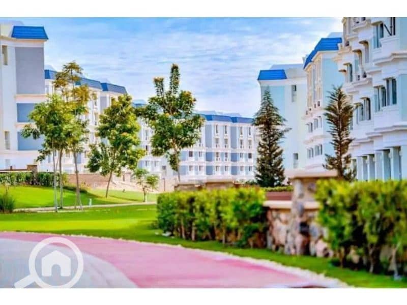 6 147f7787-4a95-45f4-b1b2-df70a02538b1. jpeg