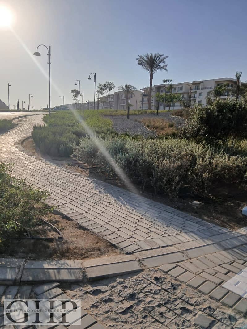 13 bba466e7-fe7f-4960-bec7-de56e2484df8. jpg